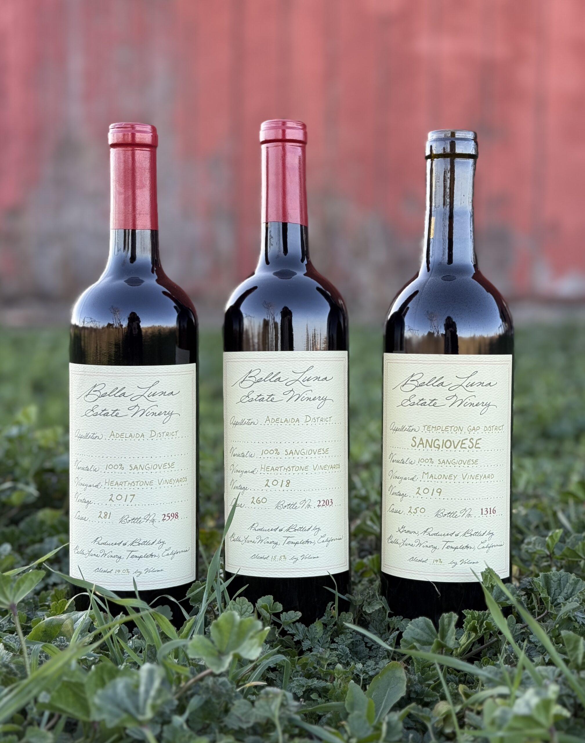 A three-pack vertical of 2017, 2018, and 2019 Sangiovese from Bella Luna Estate Winery, sourced from the Hearthstone Vineyard in the Adelaida District of Paso Robles. These wines, made from the Rodino clone of Sangiovese grown in limestone shale soils, showcase the varietal’s distinct characteristics across vintages. Award-winning with gold medals from the Los Angeles Invitational 2023 and Central Coast Wine Competition 2022. Bottles displayed elegantly, highlighting the winery’s commitment to preserving the true essence of Sangiovese.